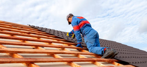 Best Sheet Metal Roofing  in Lazy Mountain, AK